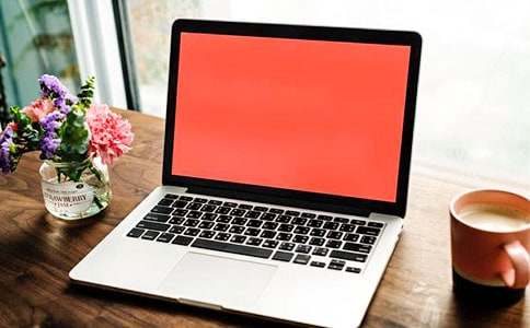 ���ر�����������300����ƪ