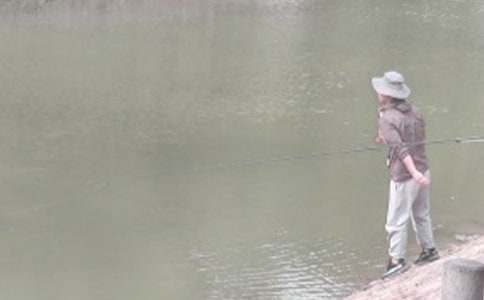 ���꼶�йص��������