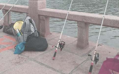 钓鱼的启示教学设计