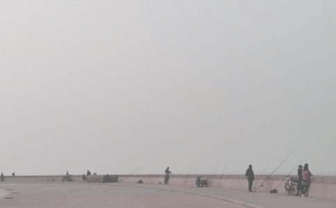 四年级钓鱼作文