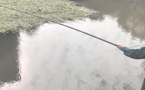 爷爷钓鱼作文600字6篇