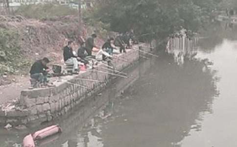 小班社会教案小猫钓鱼