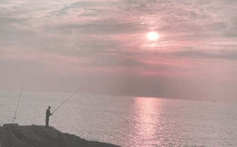 爷爷钓鱼作文600字(通用28篇)