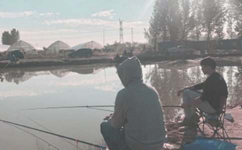 д��������400�ֻ�ࣨ8ƪ��