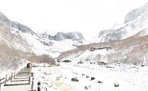 �Ұ���������