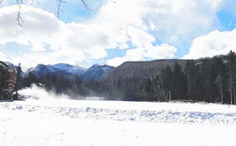 �йض���������300�־�ƪ