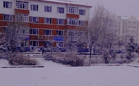 ������������600��[��ȫ15ƪ]