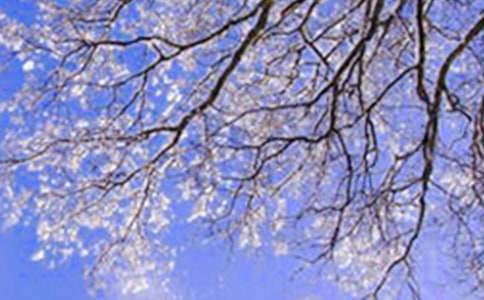 [ʵ��]�����졷����500��