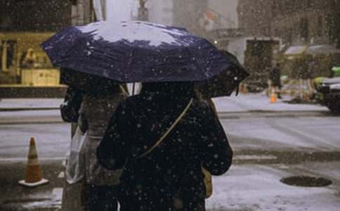 ���ϵĶ�������