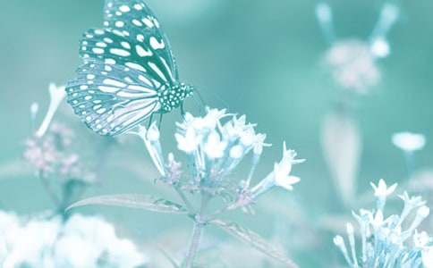 ����ֲ�﷢��һ����Ȥ��������