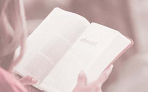 �й�����������ݽ��������ƪ