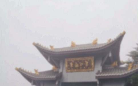 д��üɽ��������