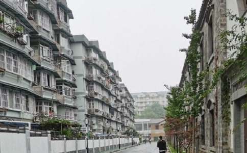 �޷���֤����������Э����