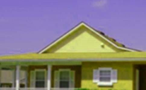 ��Сè���·��ӡ��̰�