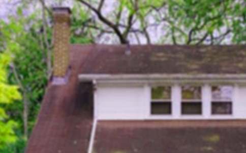 金色的房子教案