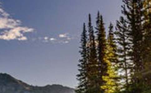 �����羰����300�֣��ţ�