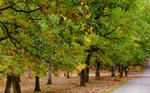 �羰����400��(����6ƪ)