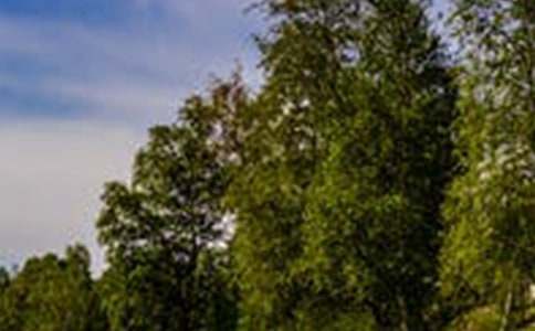 �羰��������600��