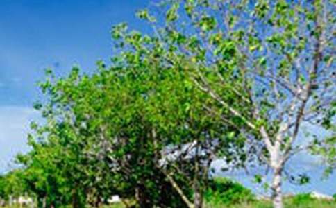 �羰�������Ļ��ʮƪ