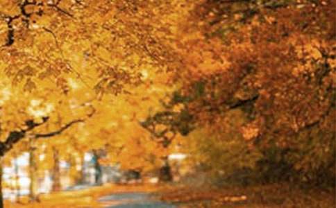 ����Ŀ�еķ羰����500��