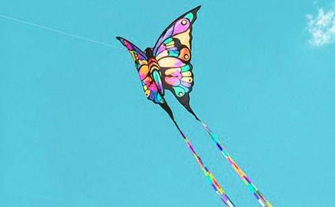 ����ķ��ݿ��Ľ�ѧ��˼