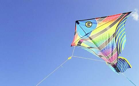 ��������������600��8ƪ