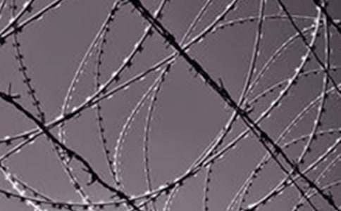 ǹ�ڲ�������������