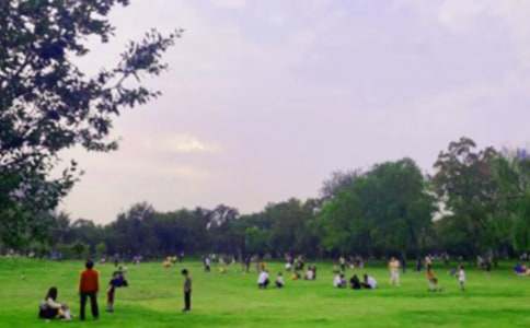 ��԰����400�֡�������