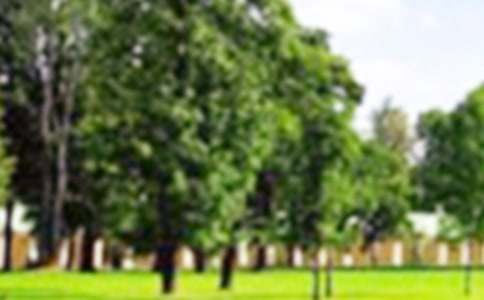 �ι�԰����500��