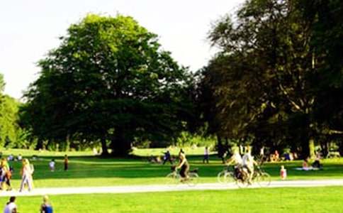 ��԰��������400��