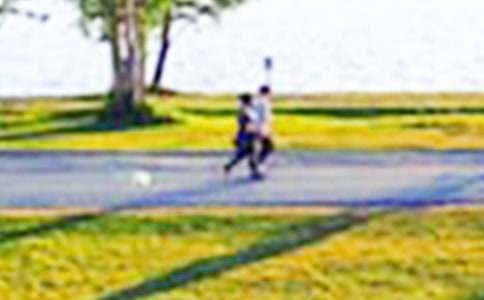 ��ѡ��԰�ĺ�����300����ƪ