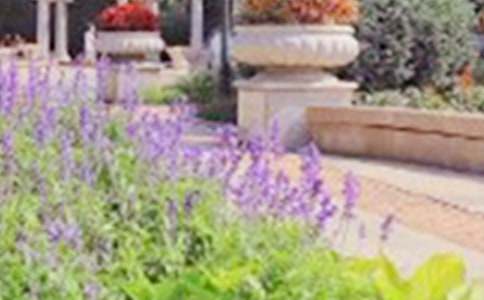 游览公园作文300字(推荐)