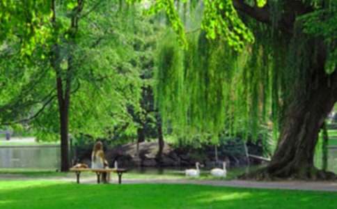 ��ͨ�á�������԰����300��15ƪ