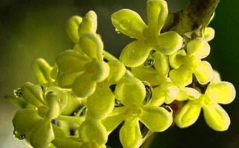 �Ұ�������