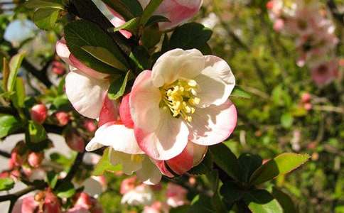 �йغ�������500�ֺϼ���ƪ