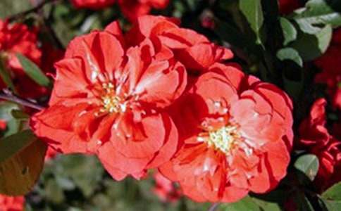 ���㺣�Ĺۺ��(�ϼ�15ƪ)