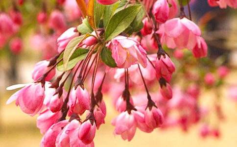 ��������500�֣����ţ�