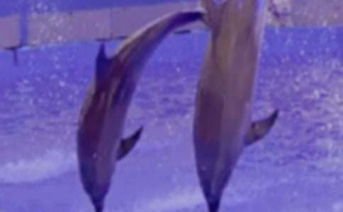 ���������400��