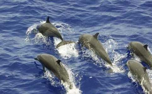 ʵ�õĺ��������300��3ƪ