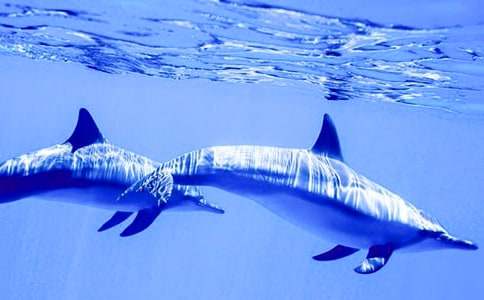 ��ɫ�ĺ��ൺ�����