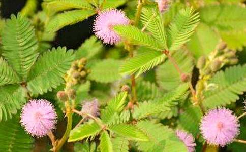 ��Ȥ�ĺ��߲�����400��