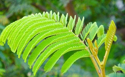 �Ұ����߲�����