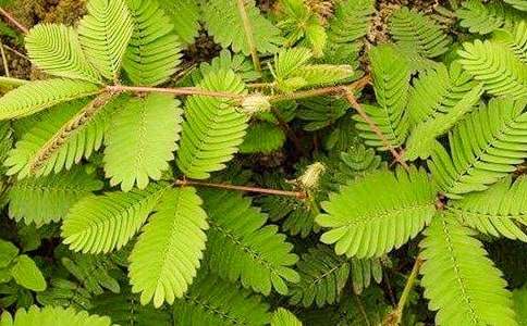 ����Ʒ�����߲�����400��15ƪ