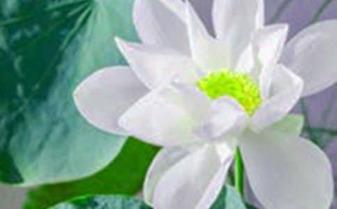 �йغɻ��̰�ģ��ϼ���ƪ