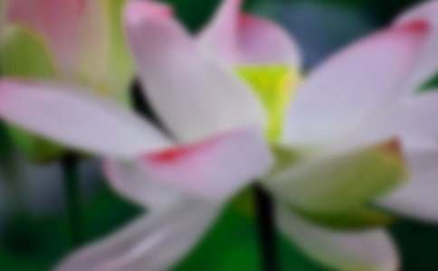 �ɻ�������500��9ƪ[�Ƽ�]