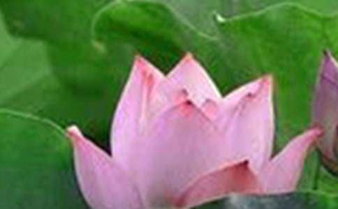 �ɻ�������500��(����7ƪ)