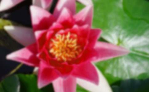 ���꼶�²�ɻ���ѧ��˼