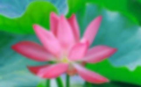 ���ڶ��꼶�ɻ������ĺϼ�ʮƪ