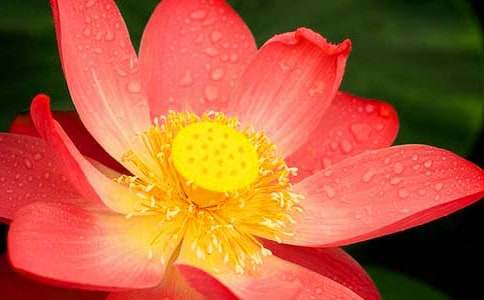 �ɻ����꼶����