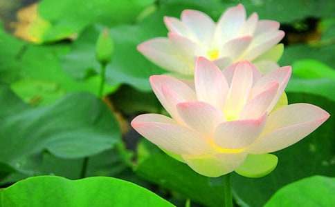 ���������ɻ��̰�4ƪ